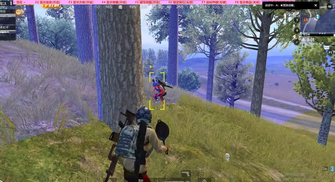 和平精英辅助【COCO】